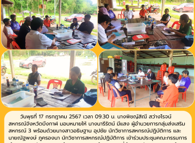 กลุ่มส่งเสริมสหกรณ์ 3 ... พารามิเตอร์รูปภาพ 7